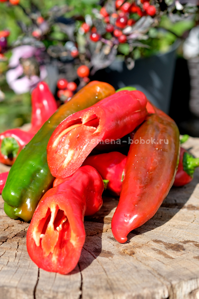 Перец сладкий Тронторолло, 10 шт