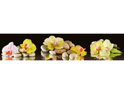 М-33  ЖЕЛТЫЕ ЦВЕТЫ Матовый кухонный фартук 2800х600х6мм ALBICO