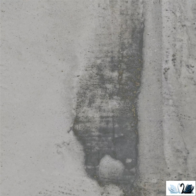 Керамогранит Simpolo Scs Arti Dove 19,8х19,8 см с орнаментом