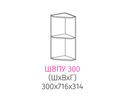 ШВПУ 300 Шкаф угловой открытый настенный