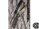 Складной нож Microtech Marfione Custom DOC Titanium