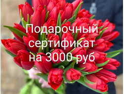 Подарочный сертификат на 3000 рублей