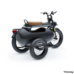 Люлька - Коляска для электровелосипеда COSWHEEL CT20 / CT20S