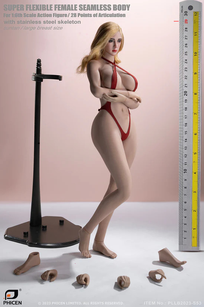Супер-подвижное бесшовное женское тело с головой (ТЕЛОИД) 1/6 PLLB2020-S53  Super Flexible Seamless Female Body Figure - PHICEN (TBLeague)