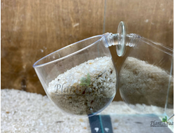 Swetaqua Acrylic pot - Горшочек акриловый для растений