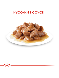 Royal Canin (Роял Канин)  Sterilised Влажный корм (пауч) для стерилизованных кошек, кусочки  в соусе, 85 г