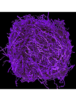 Наполнитель бумажный волнистый Премиум (фиолетовый), 500г