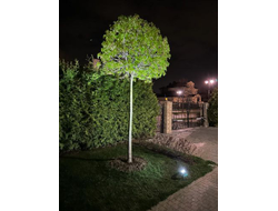 Прожектор ландшафтный на колышке HAMBURG LED 4х2вт