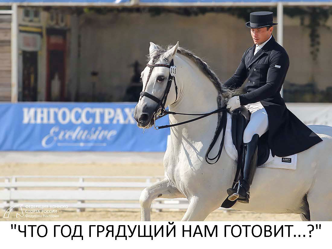 Элементы выездки на лошади