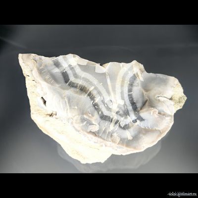 Агат, халцедон,  (разн. кварц). Россия. 155*100*80мм