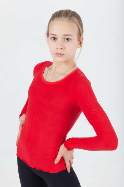 Лонгслив  (арт.310/2) DACOTA