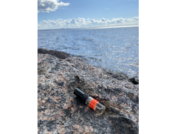 Духи АККОРД: ЧЁРНЫЕ КОШКИ 3,5 мл