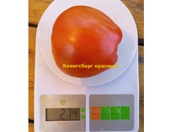 Томат Кенигсберг красный