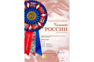 Аля. Заслуженная награда Чемпиона России