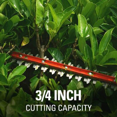 Кусторез Greenworks G24HT56