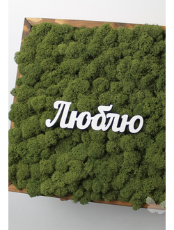 ЖИВАЯ ЭКО-КАРТИНА 1063