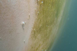 Underwater hull cleaning