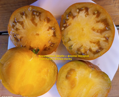 Томат Коричневый Дерби с фермы Элсеров (Elser Farm’s Brown Derby)