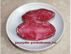 Сорта картофеля с красной мякотью