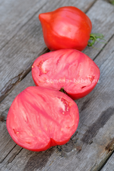 Томат Большая Красная Долли ( Big Dolly Red)