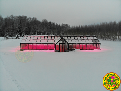 Зимняя английская теплица с холлом АГАТА размером 5500 х 11000 мм