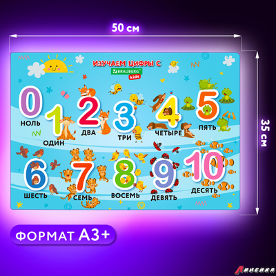 Настольное покрытие BRAUBERG KIDS для труда и творческих занятий, ПВХ, «Numbers», 50×35 см. 272361