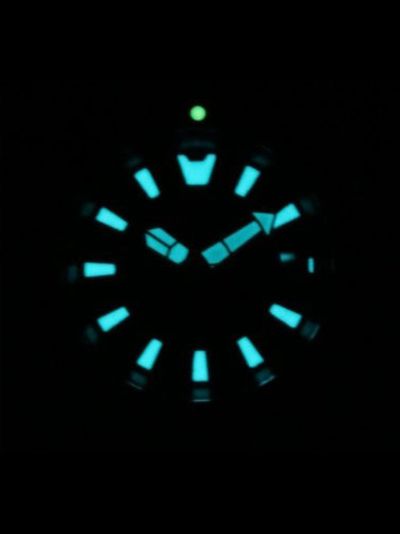 Наручные часы Citizen NY0160-66E