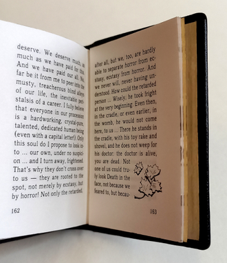 Андрей Битов "Похороны доктора"