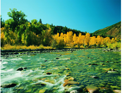 Купить греющую картину с фото горная река