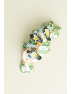 Синички - Птицы России