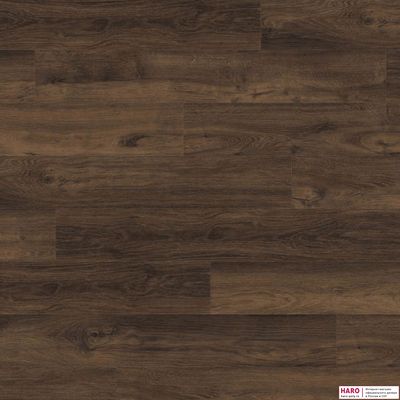 Декор ламината Haro Daily Edition Дуб Мора Дымчатый 541348 фронт