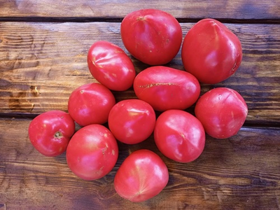 Томат Шурики