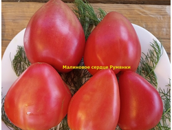 Томат Малиновое сердце Румянки (Malinowe Serce Rumianki)