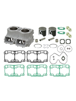 Комплект блока цилиндров Sledex SM-09604K (541-90304K) для снегоходов BRP LYNX/Ski-Doo 800 E-TEC (2010-2018) (420413044, 420623242, 420623246, 420413041, 420893314, 420893436, 420916480, 420845467, 420832030, 420815416, 420893505, 420892478, 420892479)