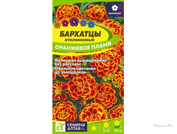 Бархатцы Оранжевое пламя/Сем Алт/цп 0,2 гр.