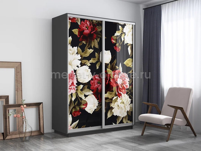 Шкаф-купе Дуо-Фото-2 (Пионы) 1200*450*2200