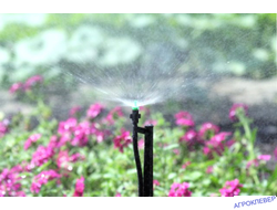 Микроджет кругового распыления Синий