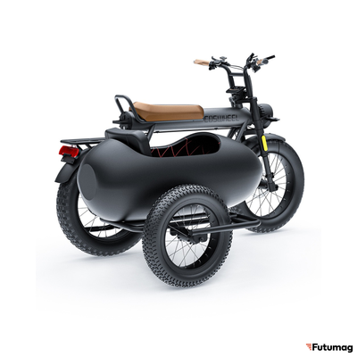 Люлька - Коляска для электровелосипеда COSWHEEL CT20 / CT20S