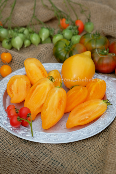 Томат Orange Walk (Оранжевая Прогулка), 10 шт