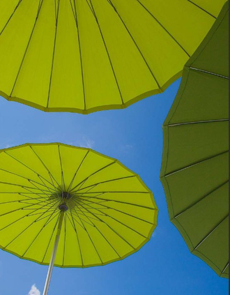 Зонт профессиональный China Parasol