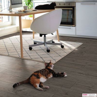 Ламинат Haro Tritty 100 Дуб Портлэнд Серый 533121 32 класс толщина 8 мм с фаской 1.98 м2