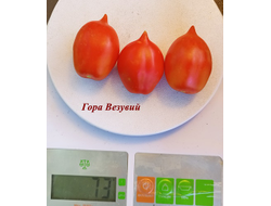 Томат Гора Везувий (Mt.Vesuvius, Mountain Vesuvius)