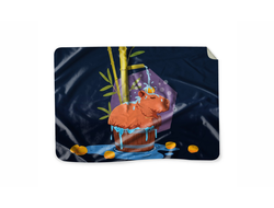 Пледы Капибара, Kapibara-san