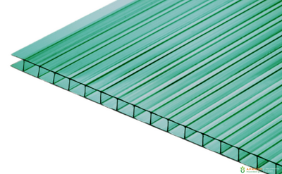 Полигаль Практичный зеленый