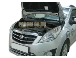 Амортизаторы капота, 2 шт. АвтоУпор для Ravon R2 I 2016-