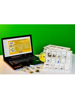 Коллекция натурально-интерактивная "Чугун и сталь"