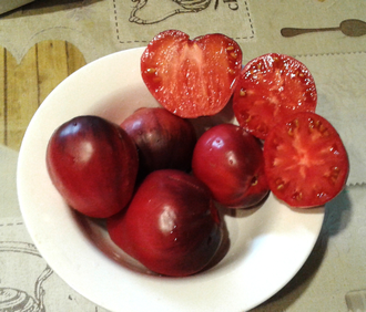 Семена томата КАС 21