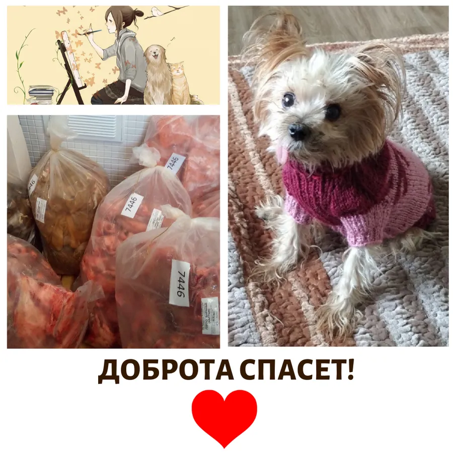 05.11 мы передали наши с вами подарки подопечным куратора Анны Агапитовой. За период с 10.10 по 5.11 сумма по благотворительным купонам составила 2618 руб. Всем, кто принимает участие в акции, от сободеток большое спасибо!