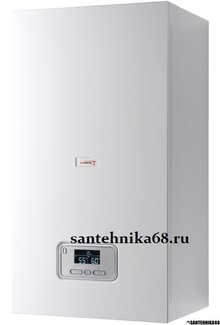 Настенный газовый одноконтурный котел Protherm Протерм Пантера KTO 25 ...
