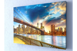 Мышцы, кости и суставы